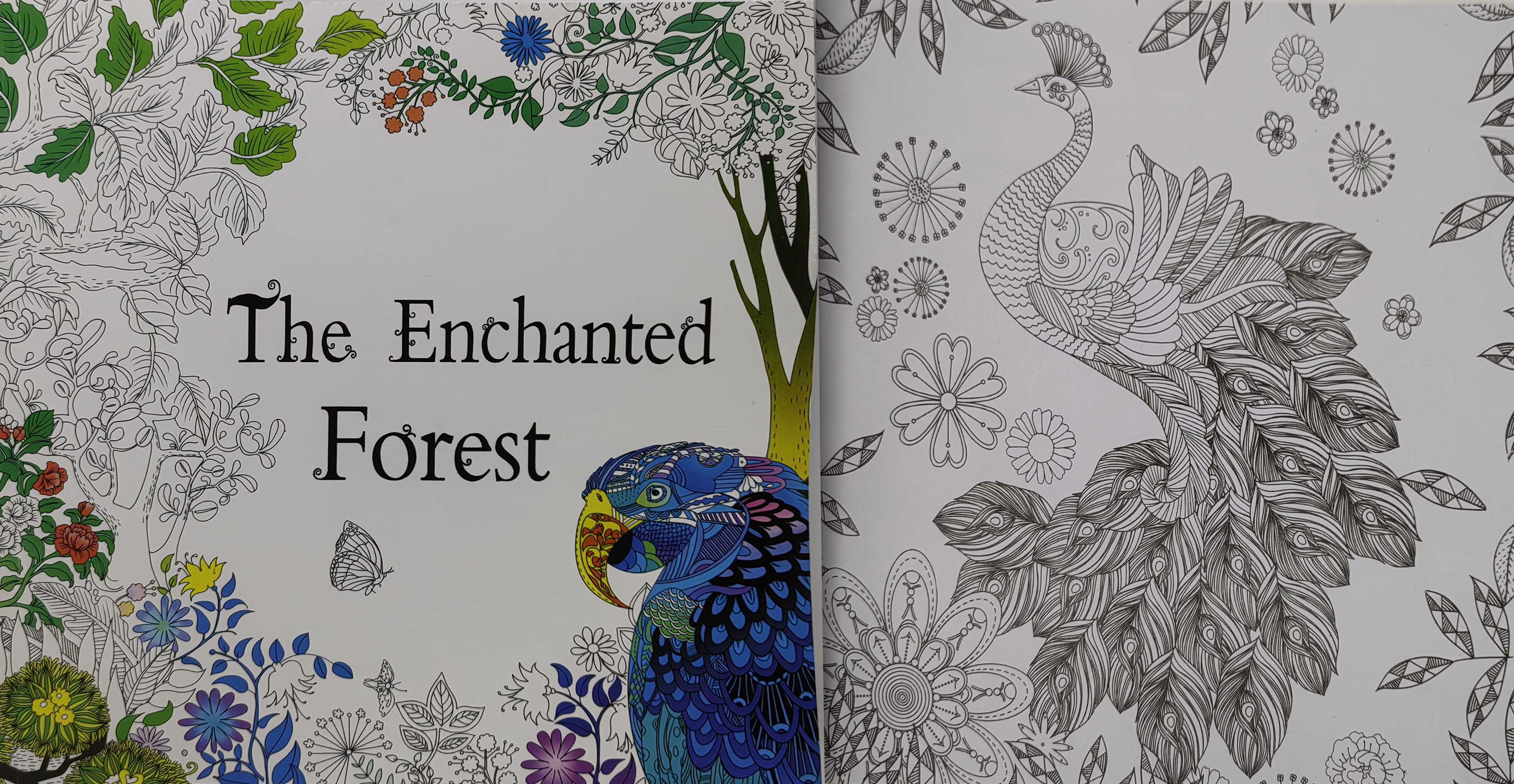 Розмальовка-антистрес 