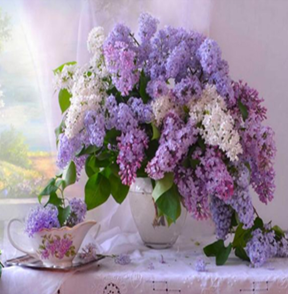 Картина за номерами б/кор.