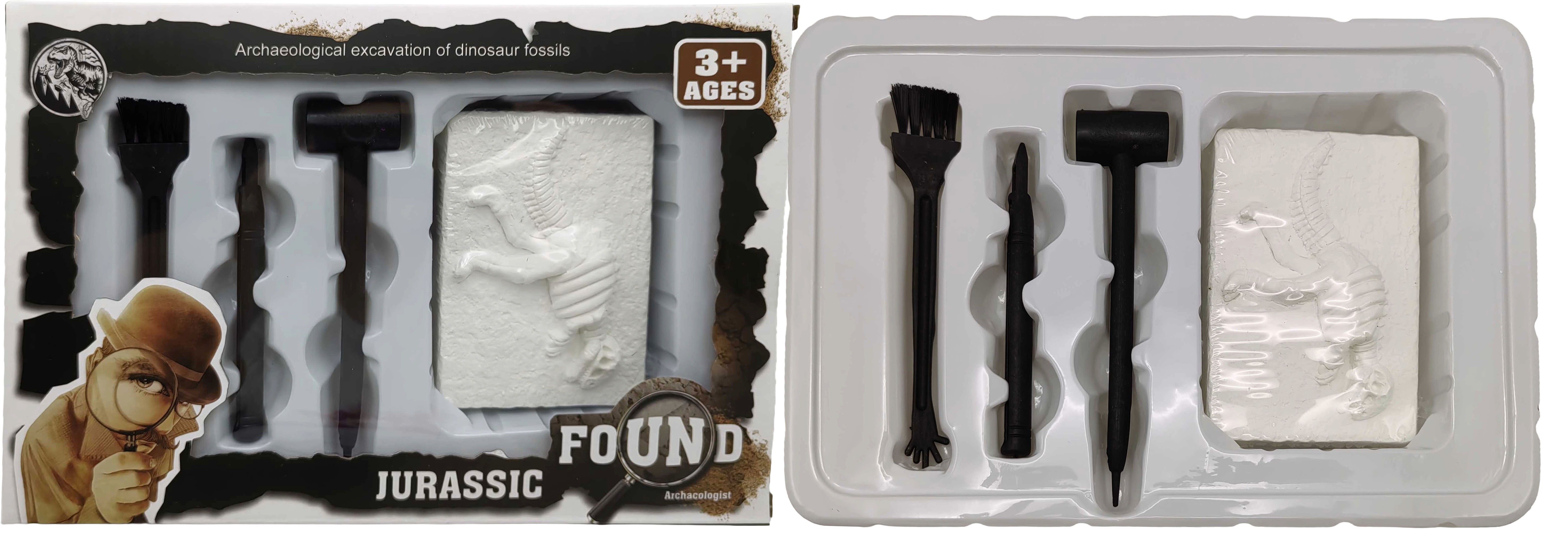 Н-р для проведення розкопок скелета динозавра - інструменти, скам'янілість