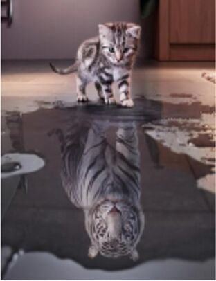 Картина за номерами б/кор.