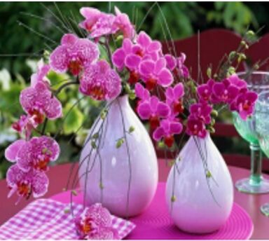 Картина за номерами б/кор.